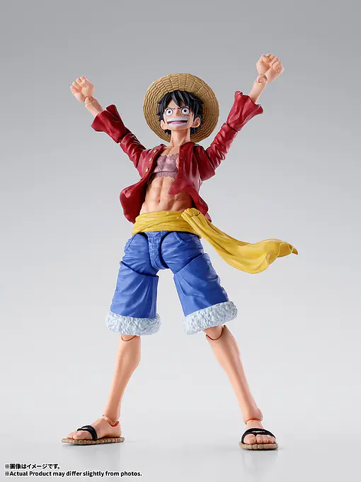 One Piece S.H.Figuarts Monkey D. Luffy New World Figure | Tamashii Nations photo 9