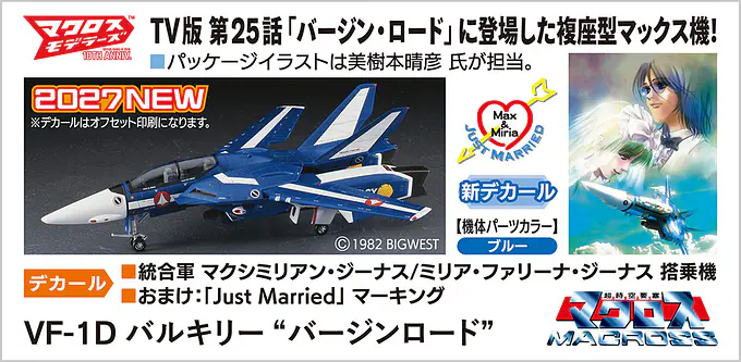 Super Dimension Fortress Macross 1/72 Model Kit VF-1D Valkyrie (Virgin Road) | Hasegawa photo 4
